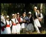 Djemte E Vjoses- Jam Nje Djal Nga Laberia